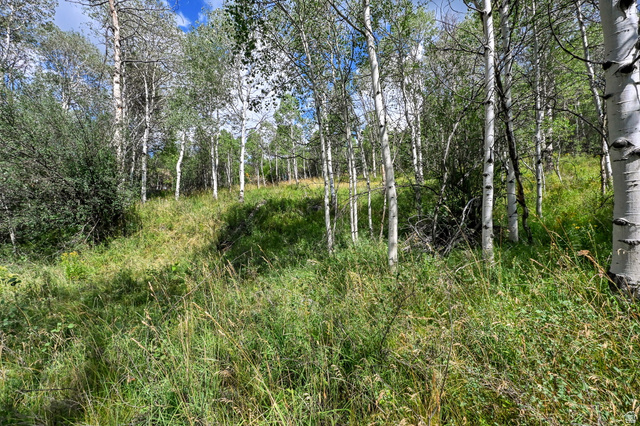 5426 East Colter Road, Unit 33 Kamas, UT 84036 - Photo 18 of 45 Wooded lot featuring mature aspen trees and varied natural landscaping