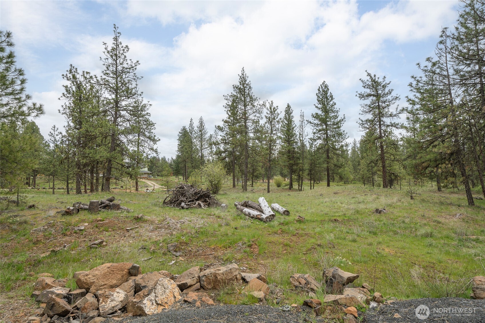 35315 South Bootstrap Lane Cheney, WA 99004 - Photo 24 of 27 a view of a forest with trees in the background