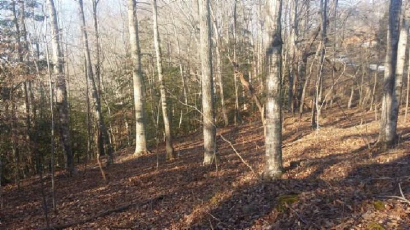 3.50-ac Boles Beaty Road Alpine, TN 38543 - Photo 1 of 10 use as main