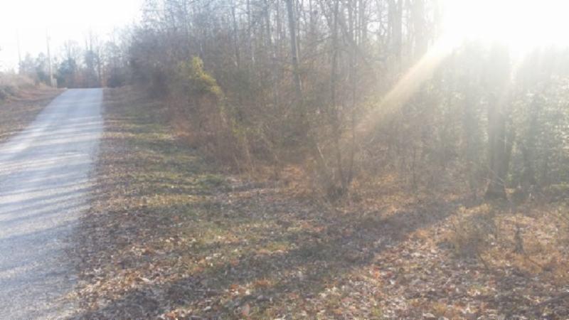 3.50-ac Boles Beaty Road Alpine, TN 38543 - Photo 2 of 10 183770_7