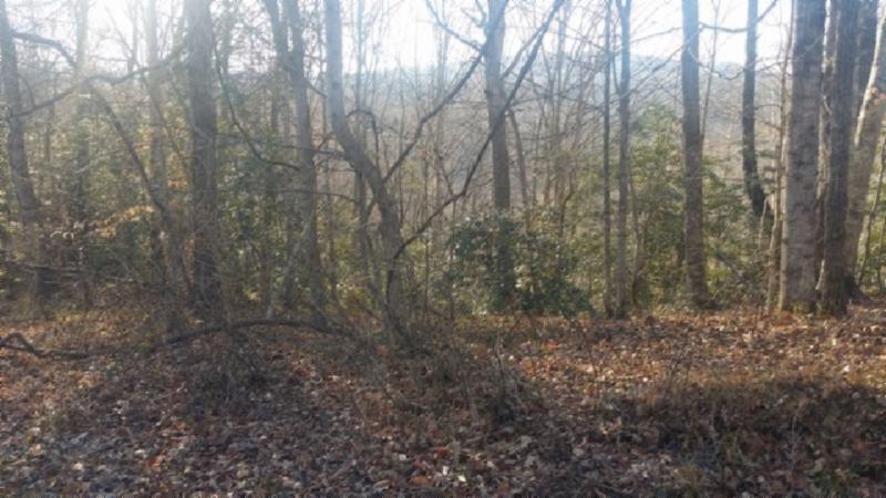 3.50-ac Boles Beaty Road Alpine, TN 38543 - Photo 3 of 10 183770_6