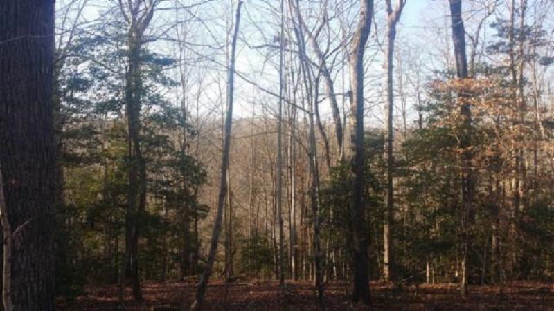 3.50-ac Boles Beaty Road Alpine, TN 38543 - Photo 5 of 10 183770_0