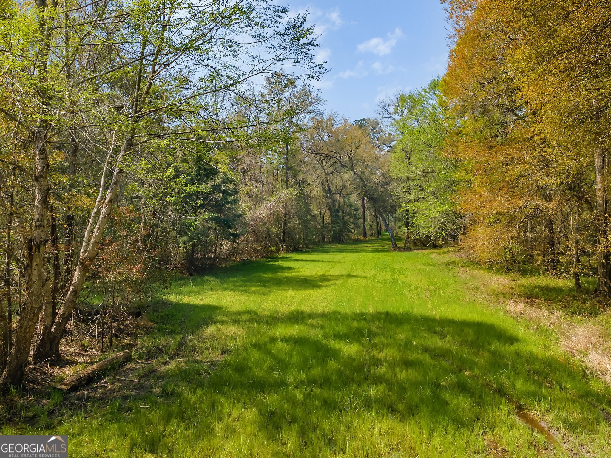 4103 Hadley Ferry Road Cairo, GA 39828 - Photo 2 of 54