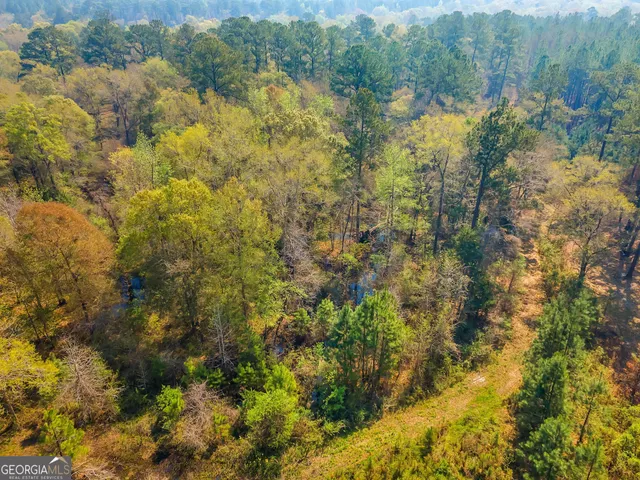 $1,200,000 | 4103 Hadley Ferry Road, Cairo, GA 39828