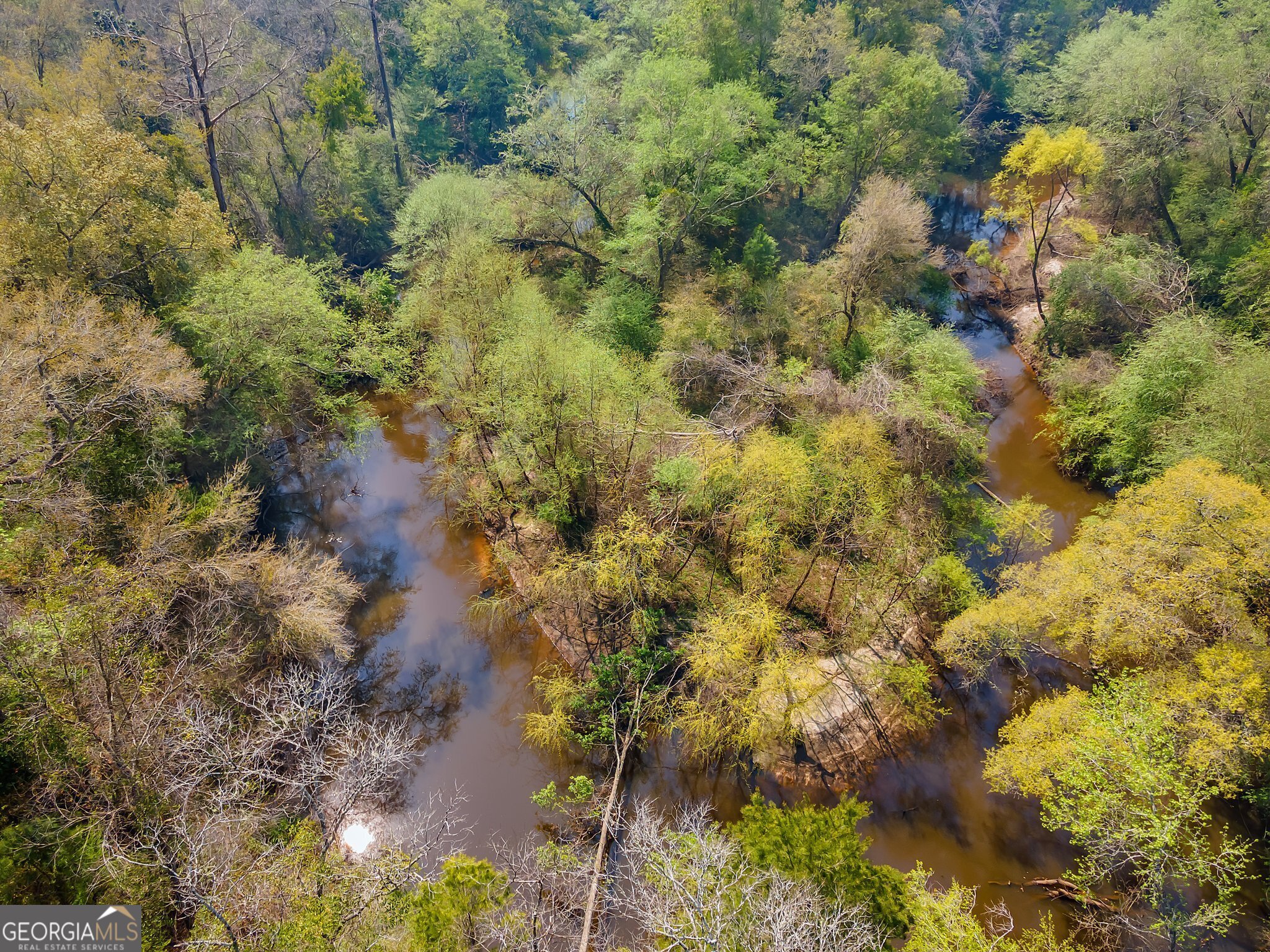 4103 Hadley Ferry Road Cairo, GA 39828 - Photo 33 of 54