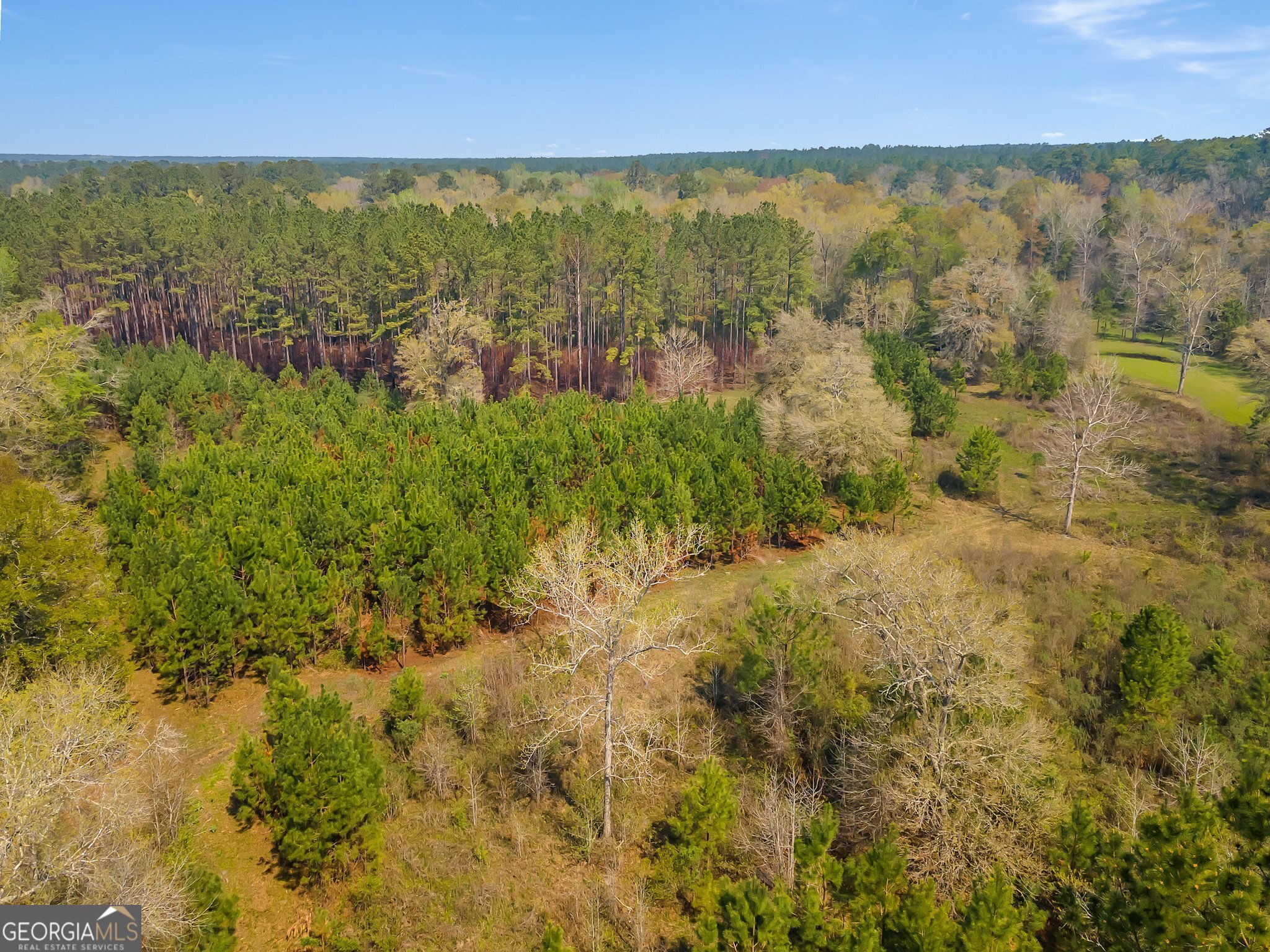 4103 Hadley Ferry Road Cairo, GA 39828 - Photo 49 of 54