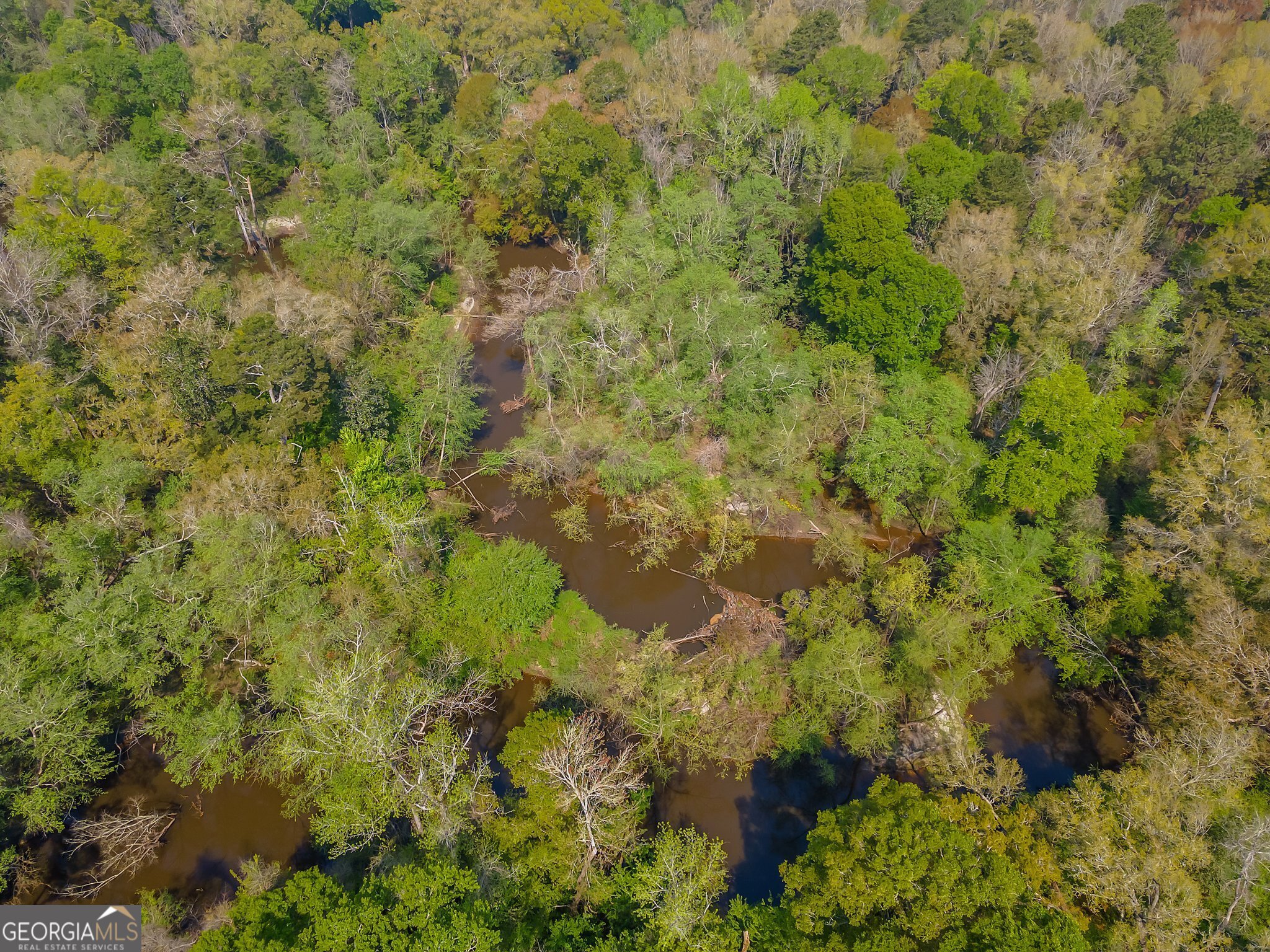 4103 Hadley Ferry Road Cairo, GA 39828 - Photo 50 of 54