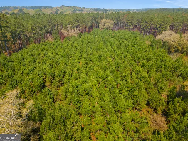 $1,200,000 | 4103 Hadley Ferry Road, Cairo, GA 39828