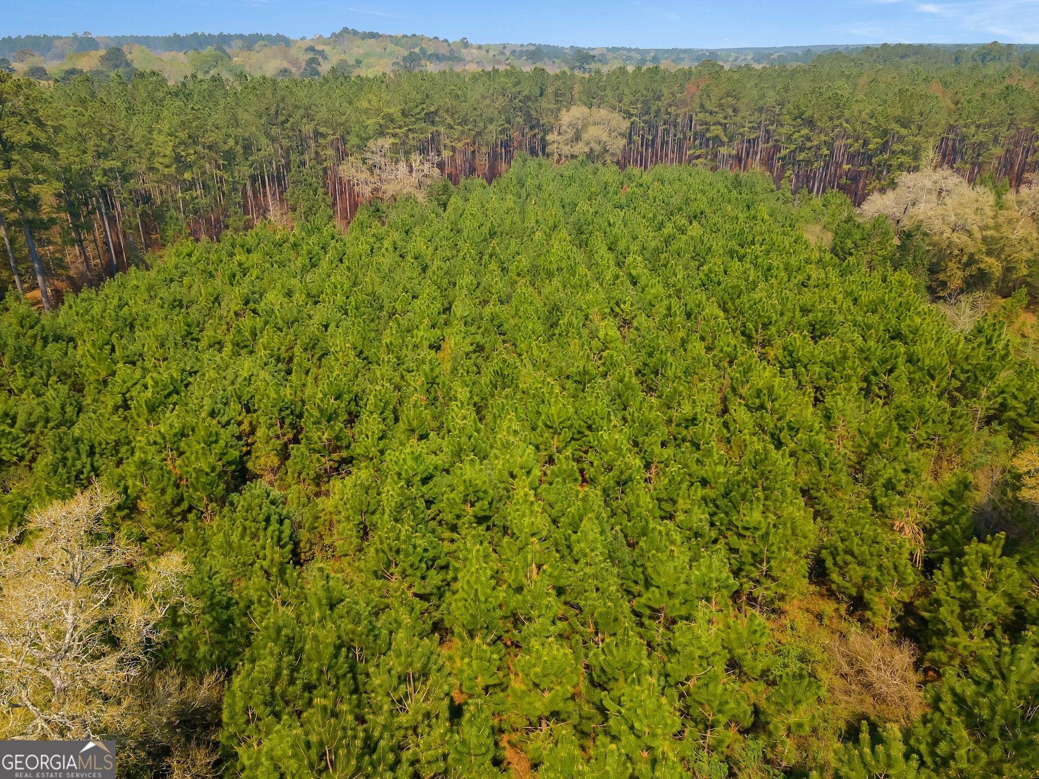 4103 Hadley Ferry Road Cairo, GA 39828 - Photo 52 of 54