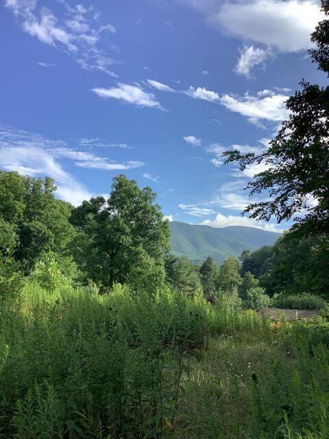 Tbd Upper Stone Mountain Road Unicoi, TN 37692 - Photo 2 of 10 Upper Stone Mt 2