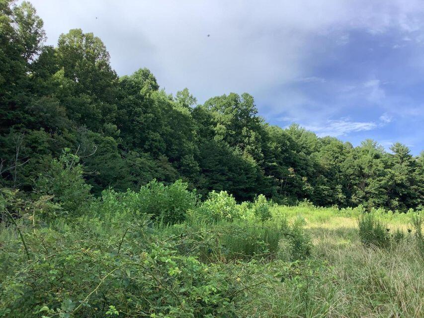 Tbd Upper Stone Mountain Road Unicoi, TN 37692 - Photo 3 of 10 Upper Stone Mt