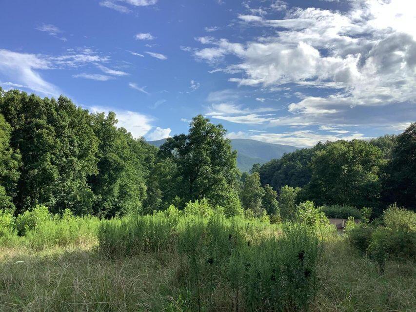 Tbd Upper Stone Mountain Road Unicoi, TN 37692 - Photo 5 of 10 Upper Stone Mt 5