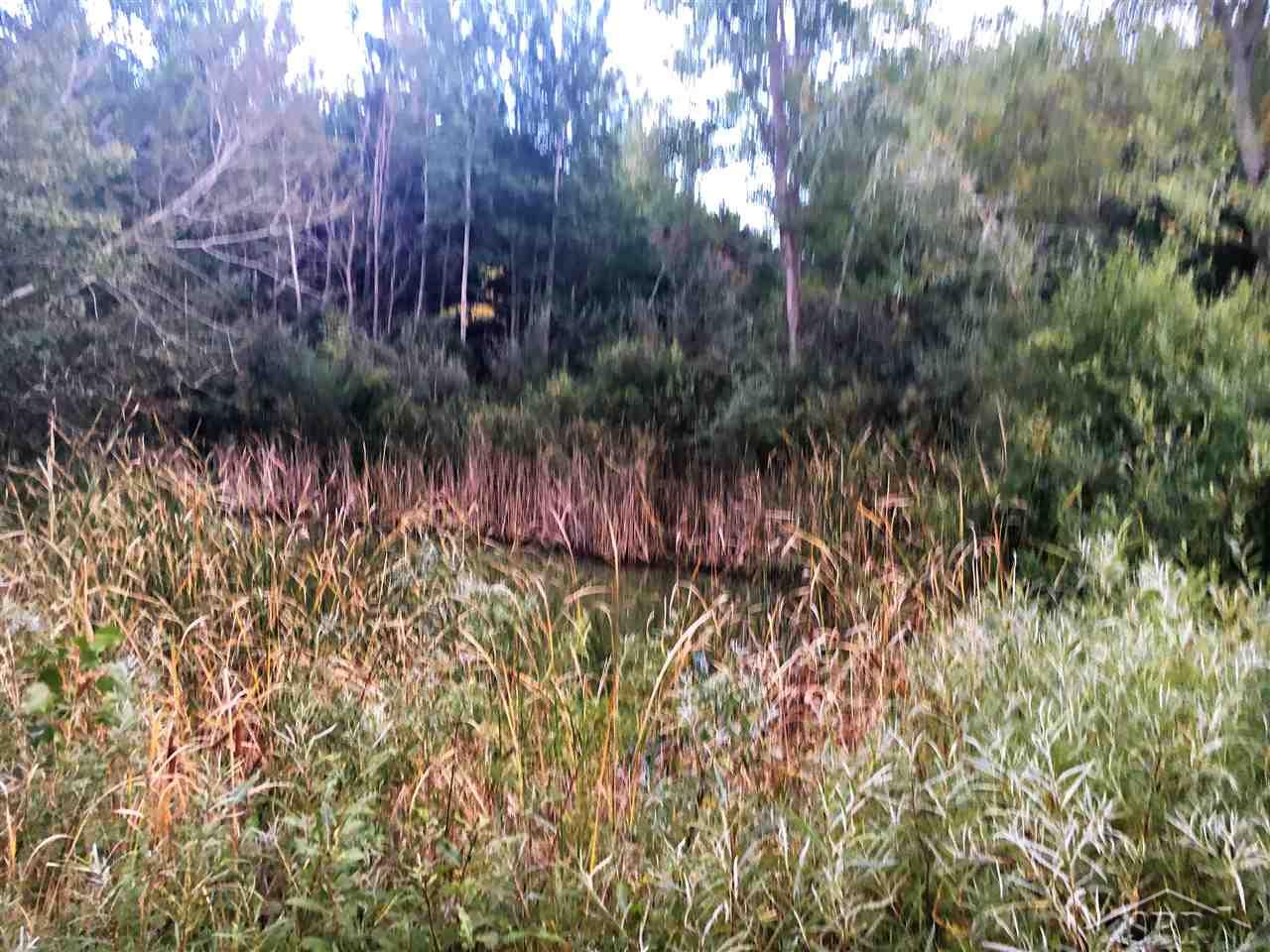 17101 West Burt Road Chesaning, MI 48616 - Photo 7 of 11