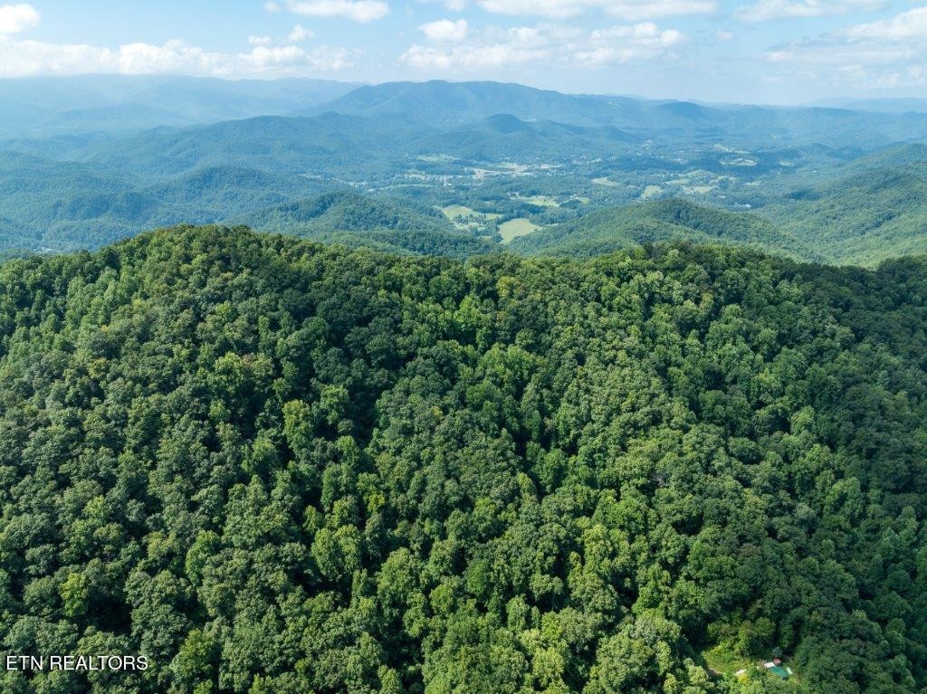 10 Carrs Creek Road Townsend, TN 37882 - Photo 11 of 19 Gallery Image 11
