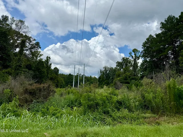 $284,000 | 2194 Highway 570, Summit, MS 39666