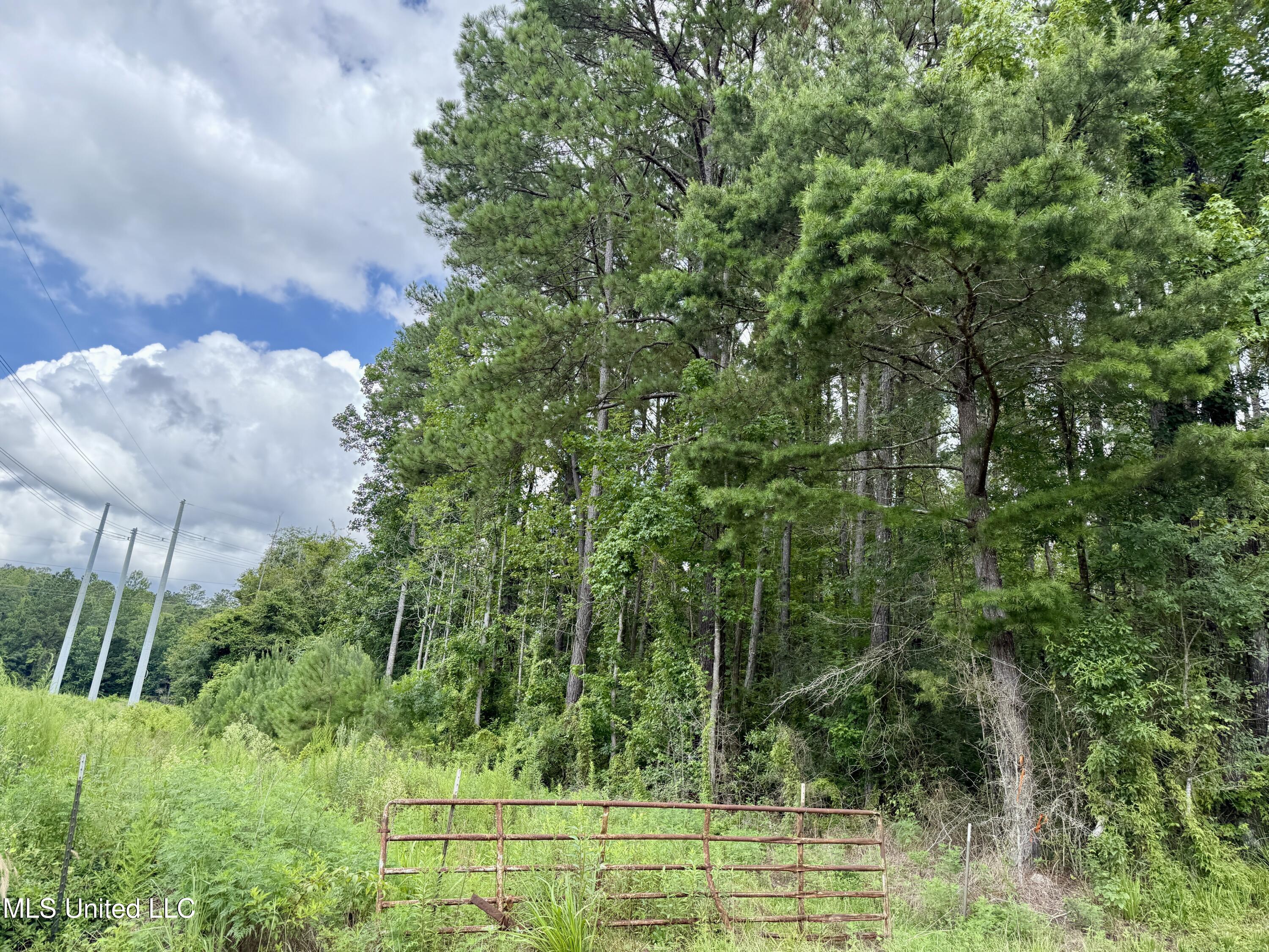 2194 Highway 570 Summit, MS 39666 - Photo 10 of 13 IMG_5930