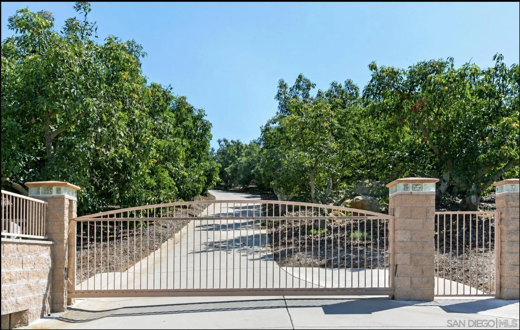 1629 Wild Acres Road Vista, CA 92084 - Photo 3 of 30