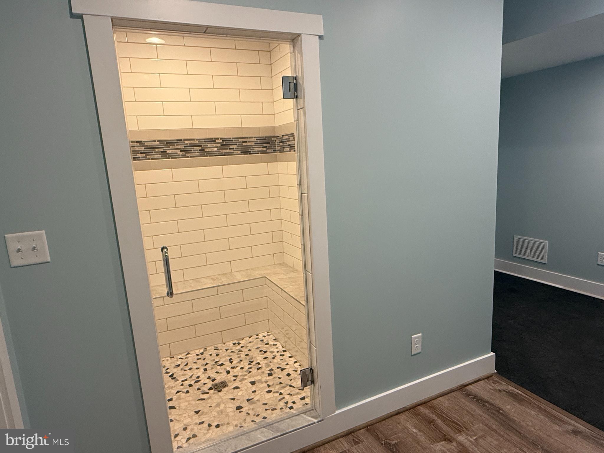 5482 Summit Bridge Road Townsend, DE 19734 - Photo 31 of 43 a bathroom with a shower