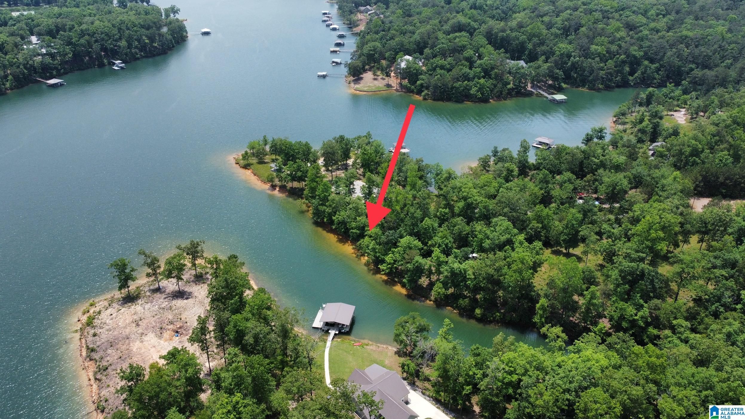 Lot 9 Edgewater Bend Road, Unit 9 Arley, AL 35541 - Photo 8 of 14