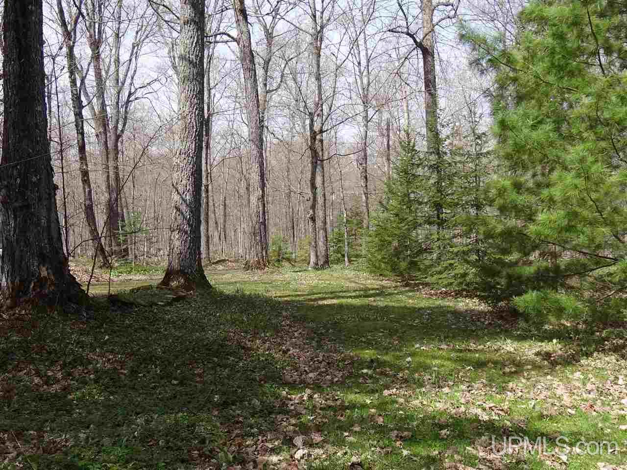 5272 Gratiot Lake Road Mohawk, MI 49950 - Photo 22 of 31