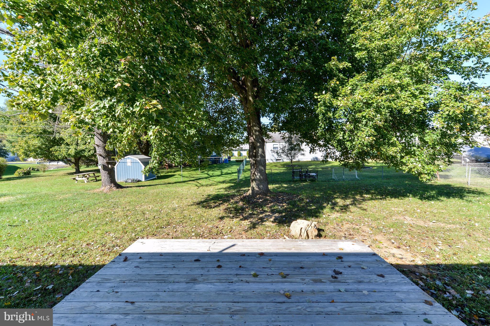 216 White Hall Road Elkton, MD 21921 - Photo 19 of 24 Level Back Yard with Nice Shade Tree