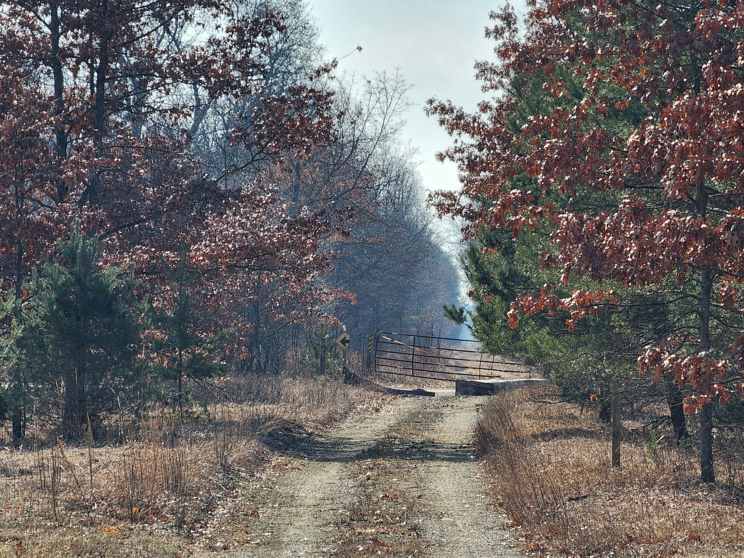 Lot A 10-1/2 Mile Road Irons, MI 49644 - Photo 16 of 21 20240227_114654