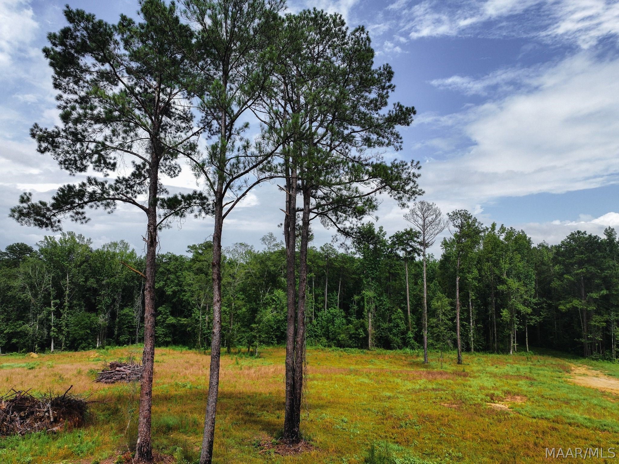 13 County Road 24 Road Auburn, AL 36830 - Photo 2 of 10 Gallery Image 2