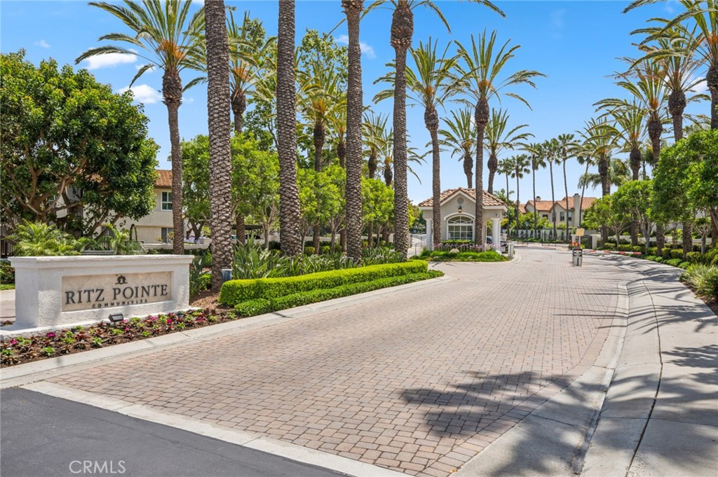 38 San Raphael Dana Point, CA 92629 - Photo 27 of 38 a view of a park with palm trees