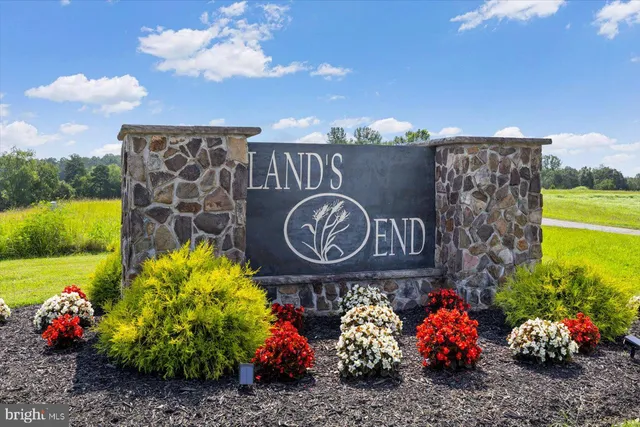 a view of a bunch of flowers