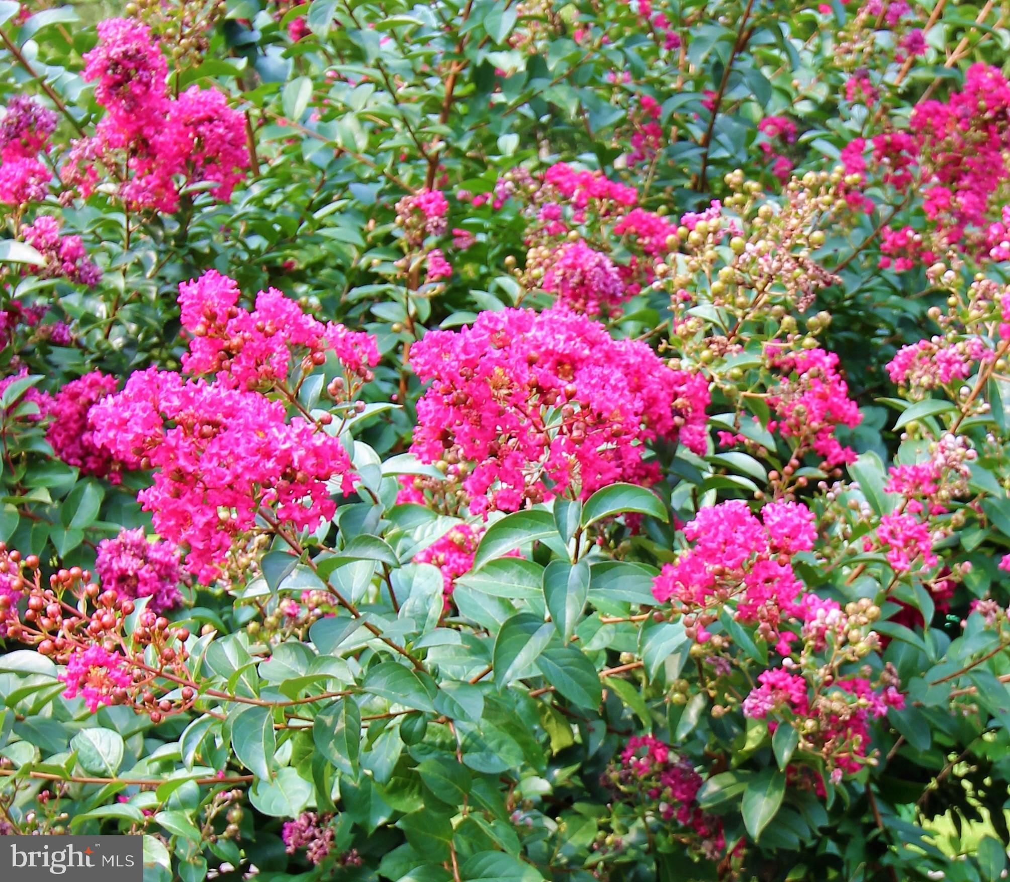 3232 Masons Mill Road Huntingdon Valley, PA 19006 - Photo 11 of 46