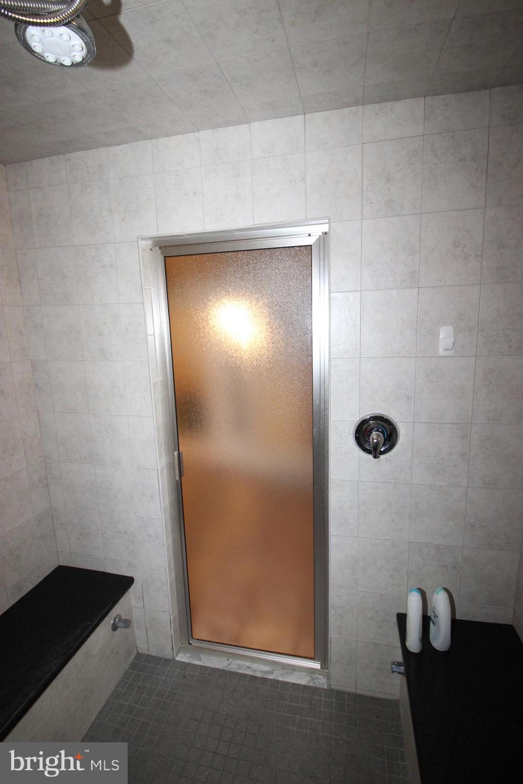 3232 Masons Mill Road Huntingdon Valley, PA 19006 - Photo 32 of 46 Sauna