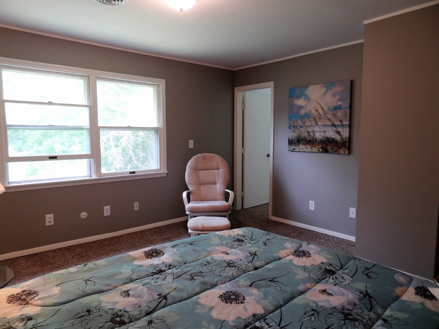 905 Morgan Street Yorkville, IL 60560 - Photo 11 of 25
