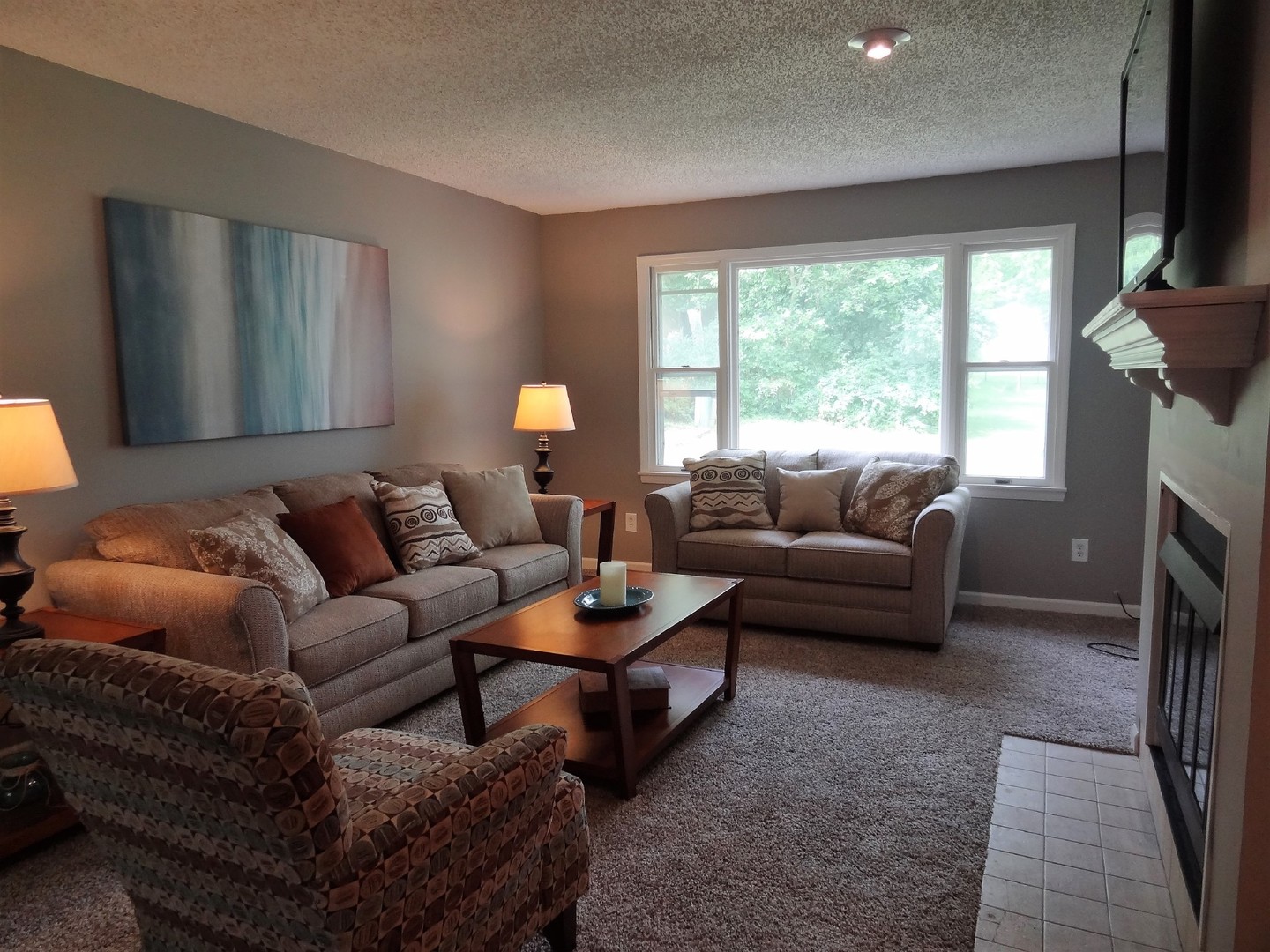 905 Morgan Street Yorkville, IL 60560 - Photo 12 of 25