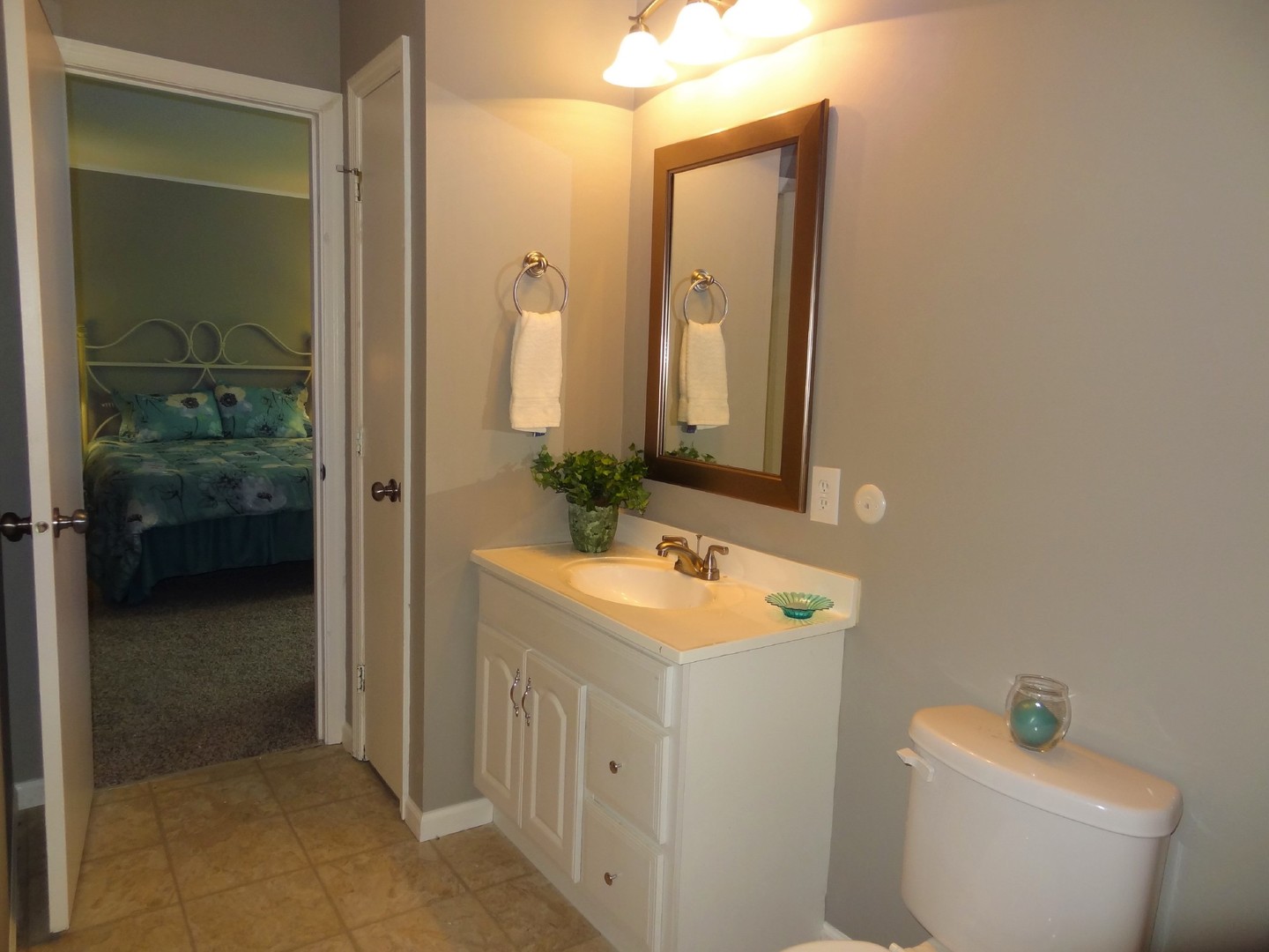905 Morgan Street Yorkville, IL 60560 - Photo 3 of 25