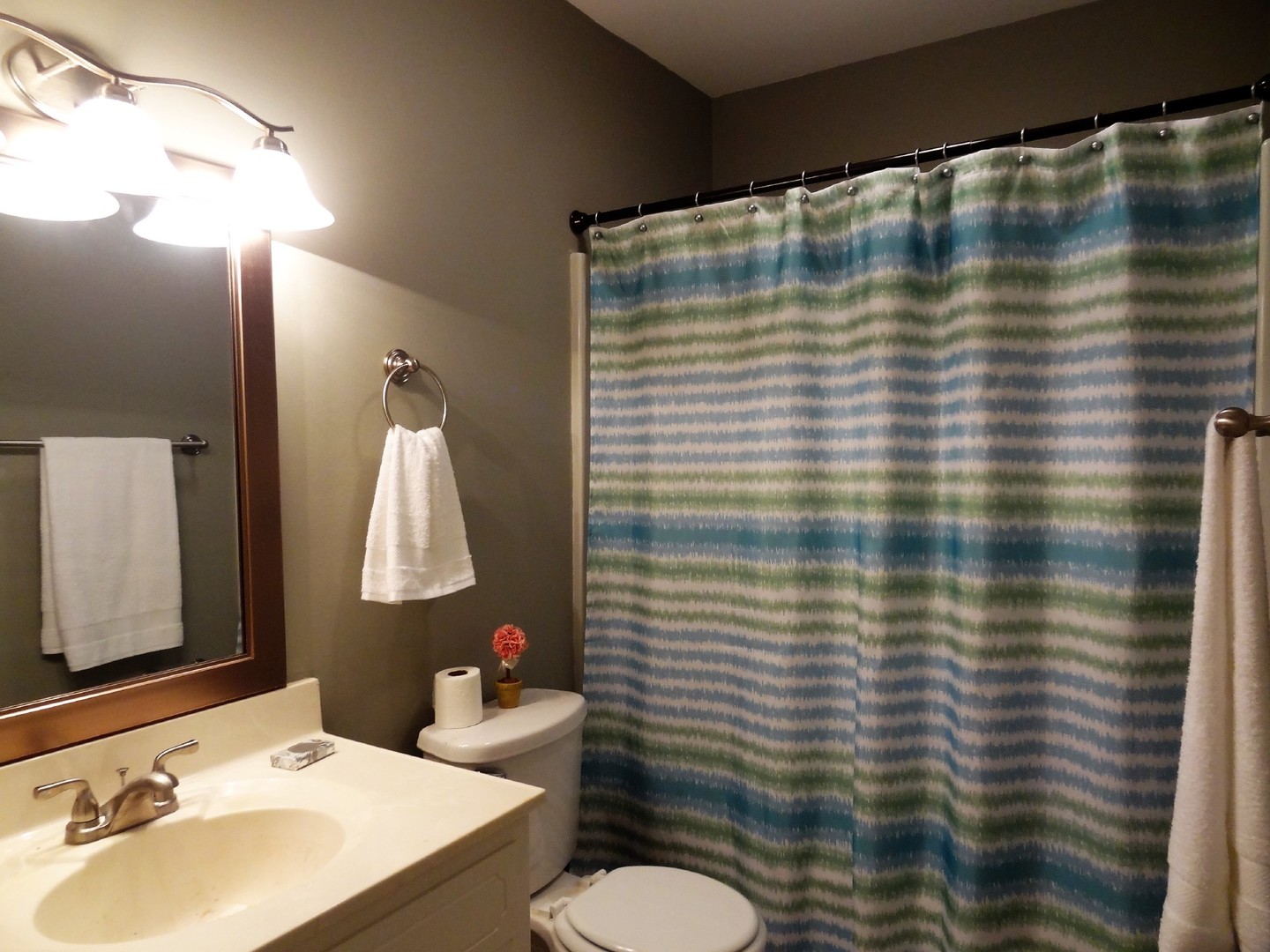 905 Morgan Street Yorkville, IL 60560 - Photo 10 of 25