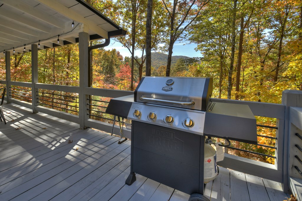 211 Little Creek Trail Blue Ridge, GA 30513 - Photo 58 of 73 Gallery Image 58