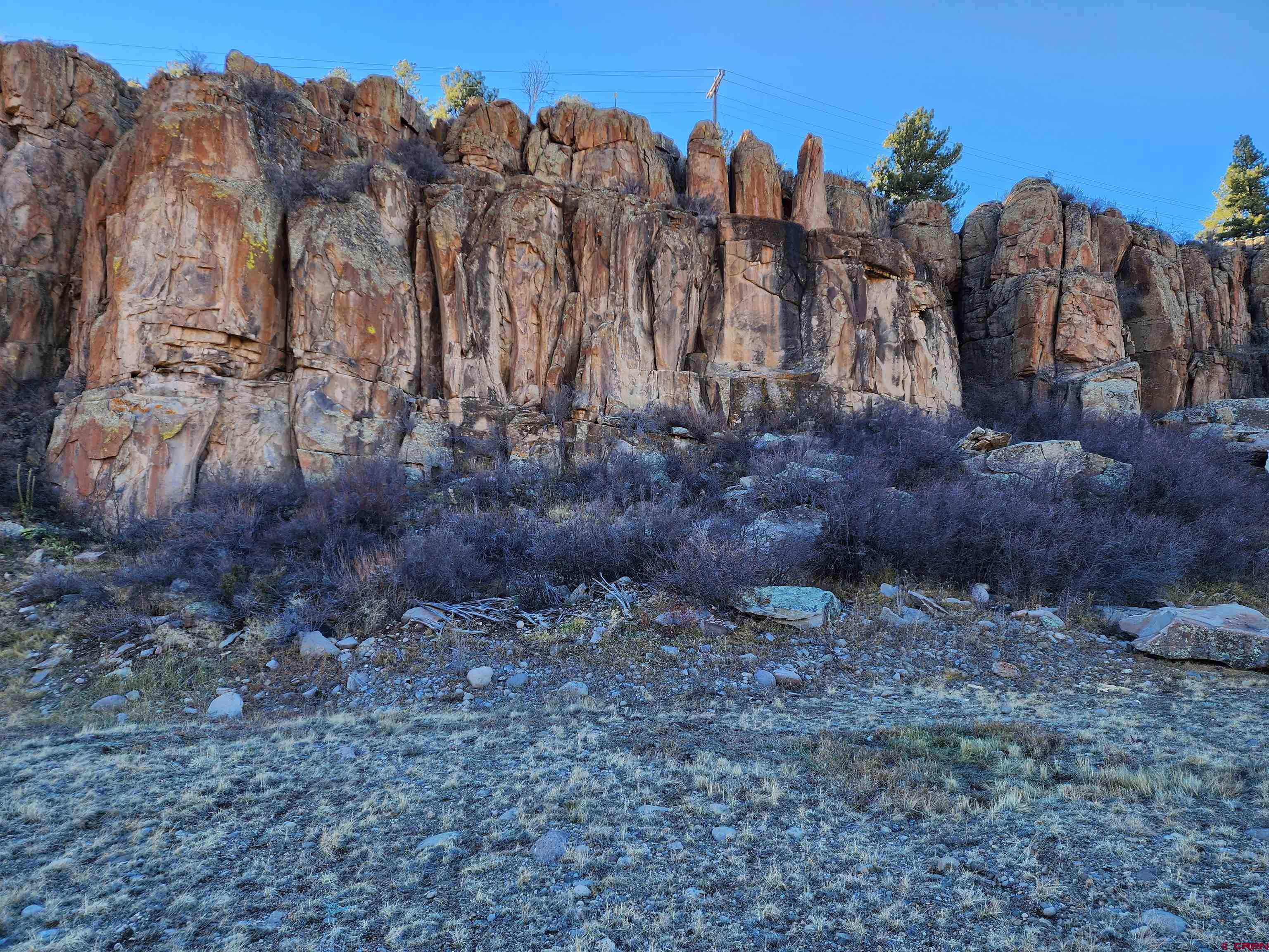 2 West R Highway South Fork, CO 81154 - Photo 5 of 8 a view of a dry yard with trees