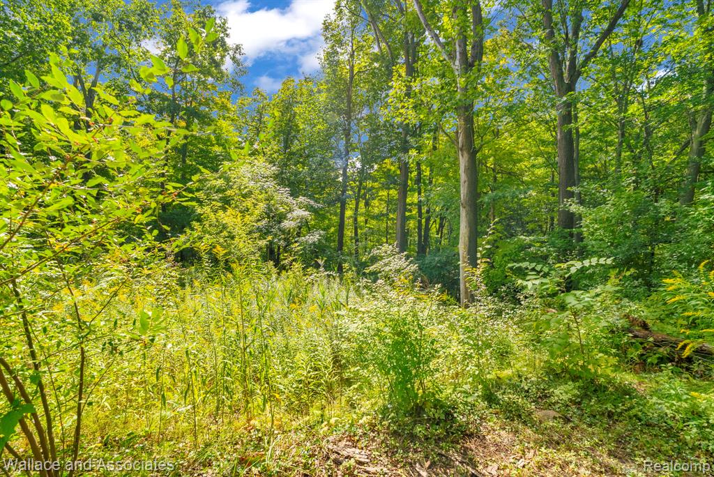 3559 Lightle Road North Street, MI 48049 - Photo 13 of 13 Gallery Image 13