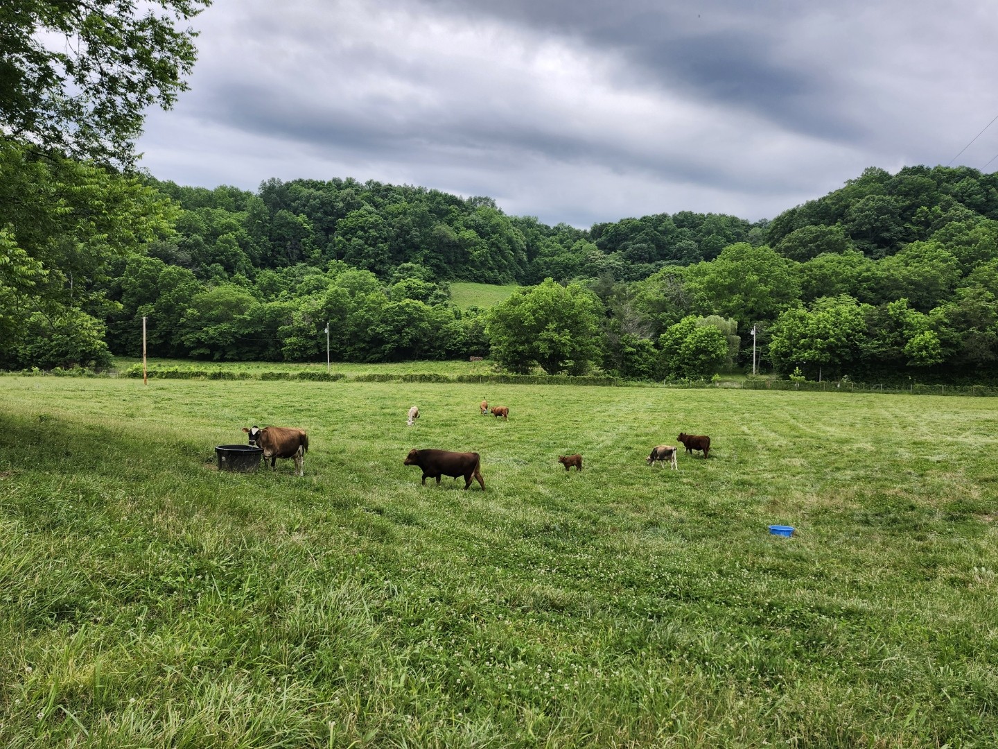 994 Bull Run Road Lynchburg, TN 37352 - Photo 29 of 41 Gallery Image 29