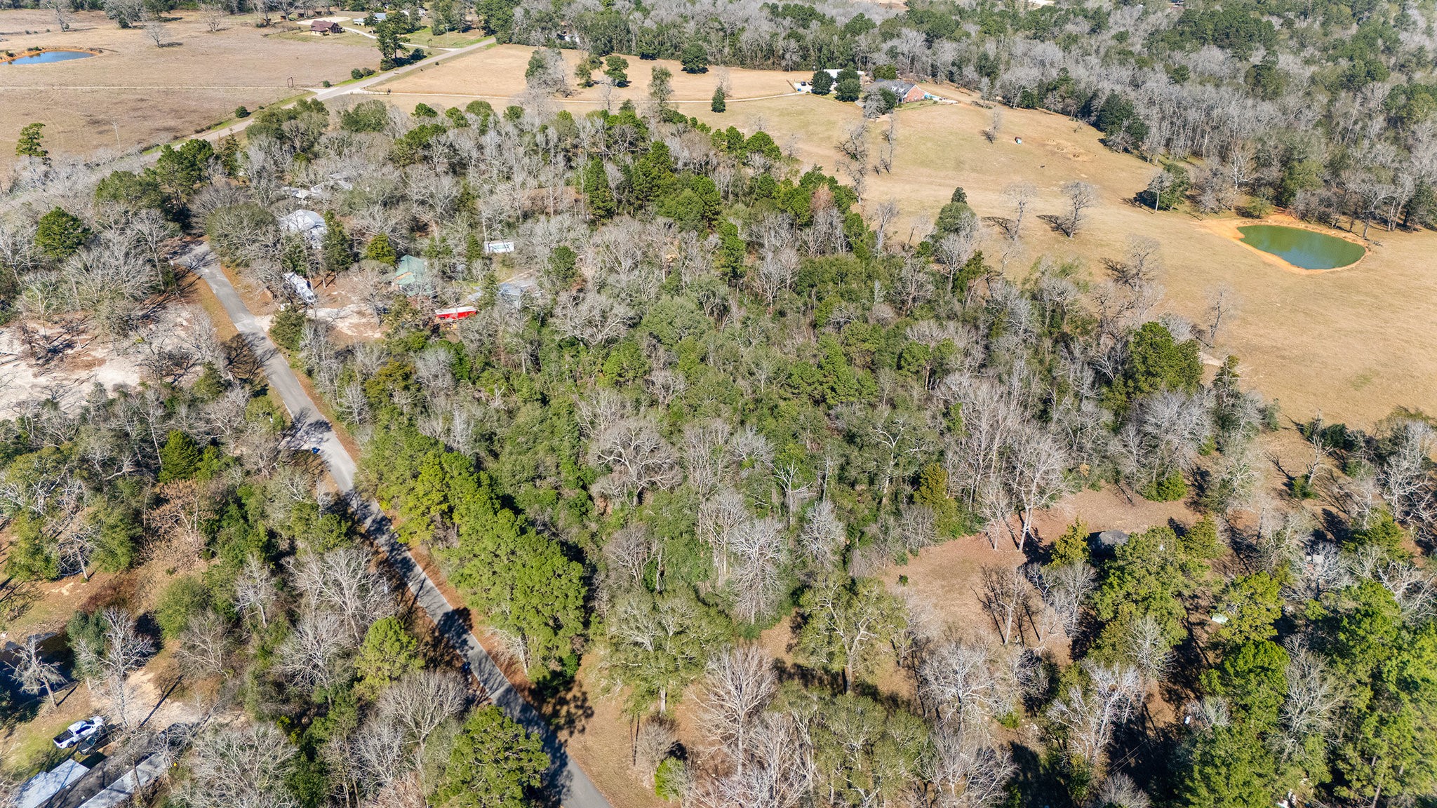 15685 McKay Road Willis, TX 77378 - Photo 16 of 21