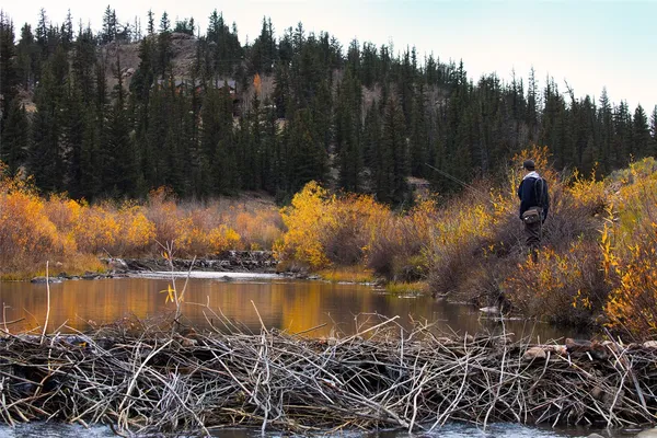 $615,000 | 245 Outlaw Court, Jefferson, CO 80456