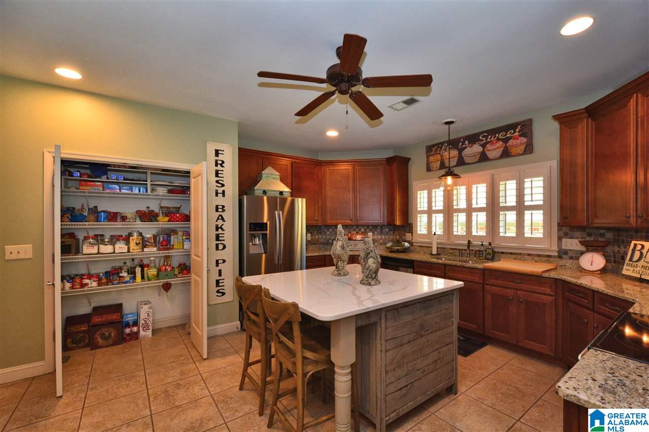 613 Foothills Trace Chelsea, AL 35043 - Photo 17 of 50