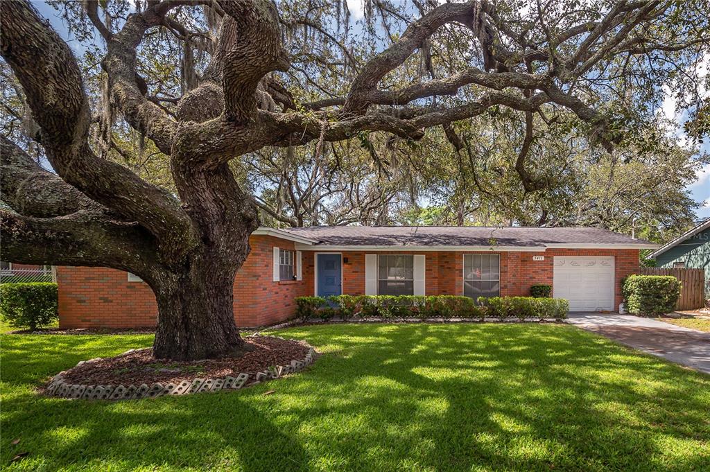 a house view with a garden space