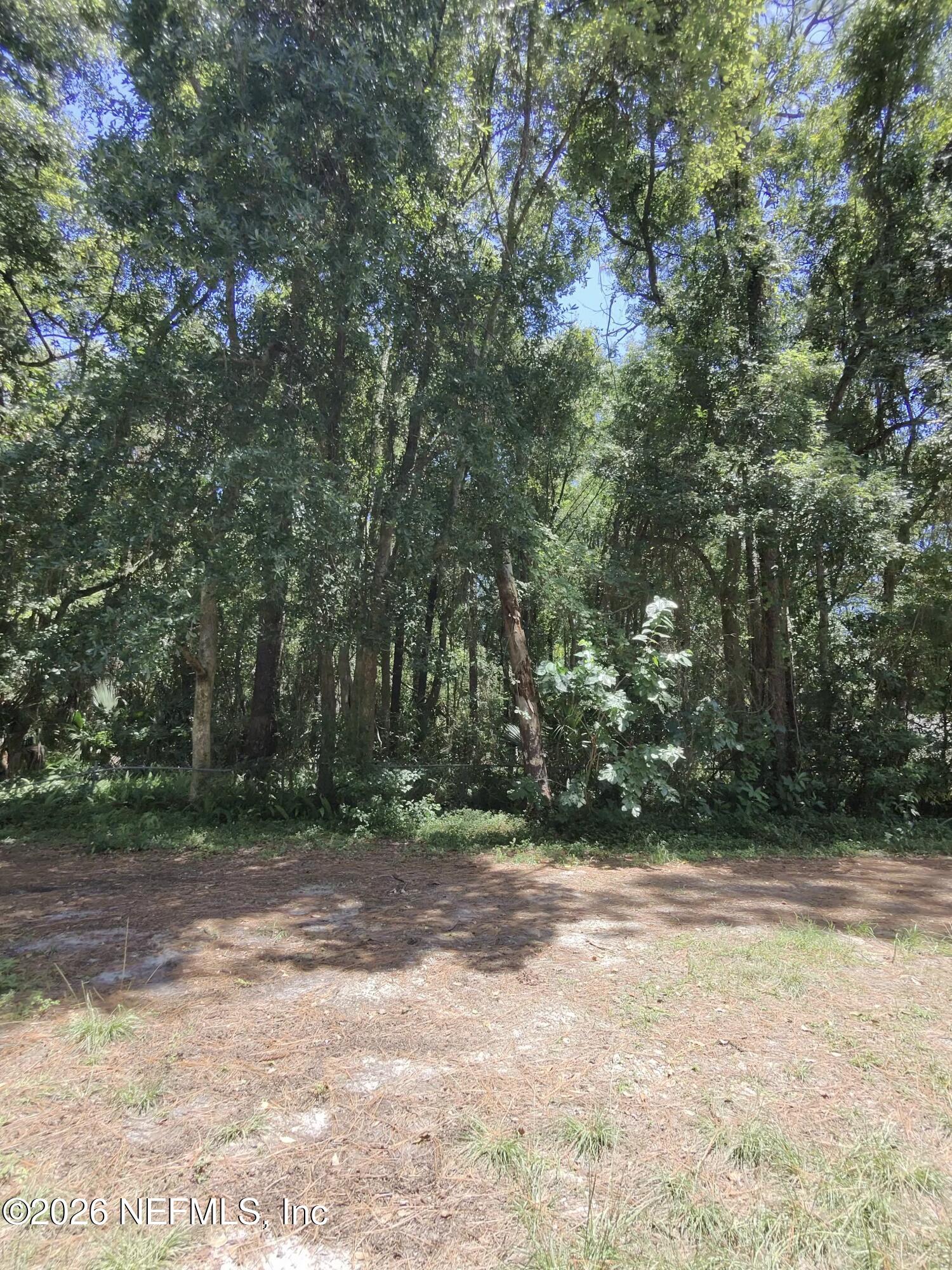 a view of outdoor space with trees