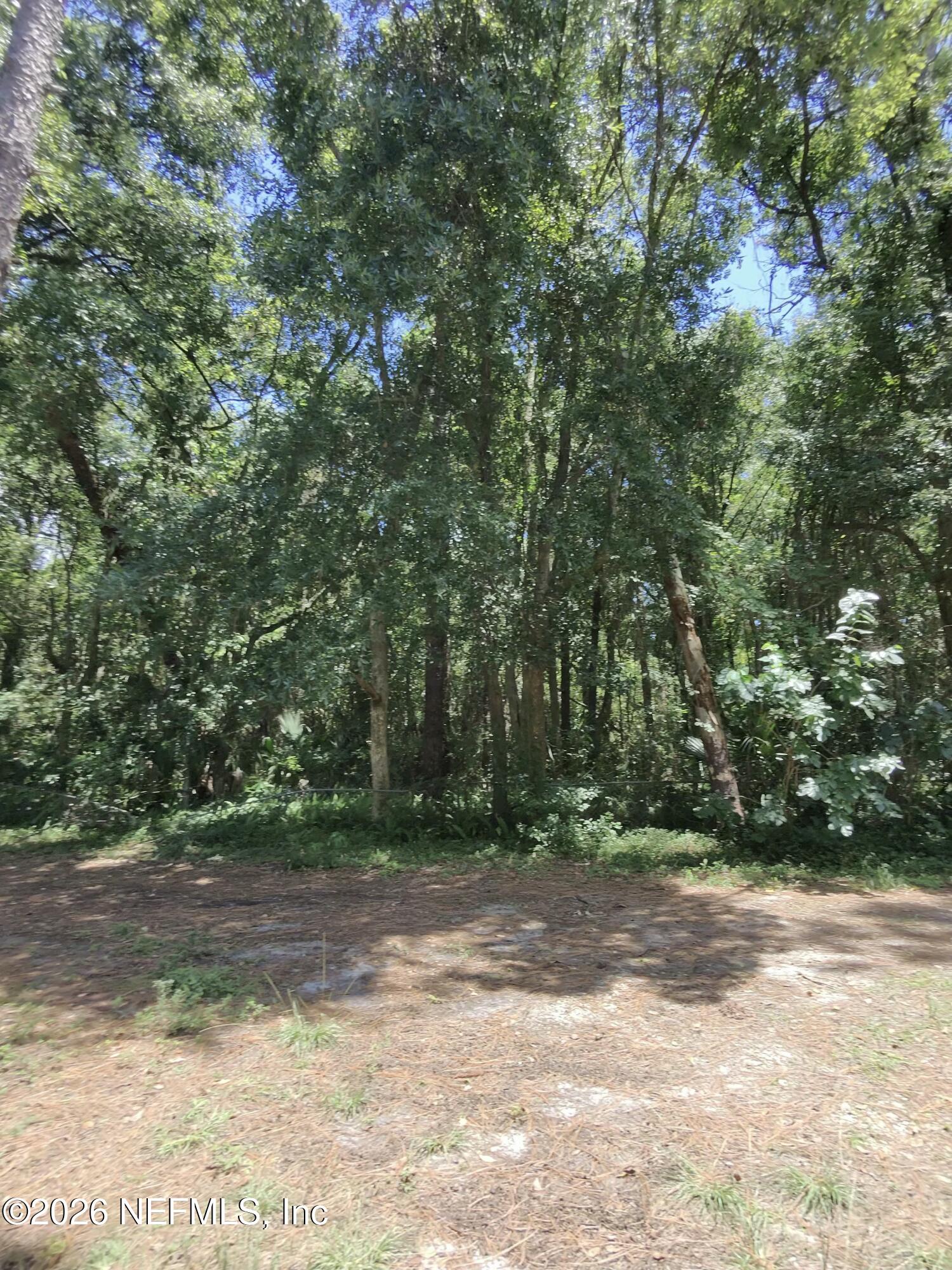 0 Ribault Terrace Jacksonville, FL 32209 - Photo 4 of 4 a view of a yard with a tree