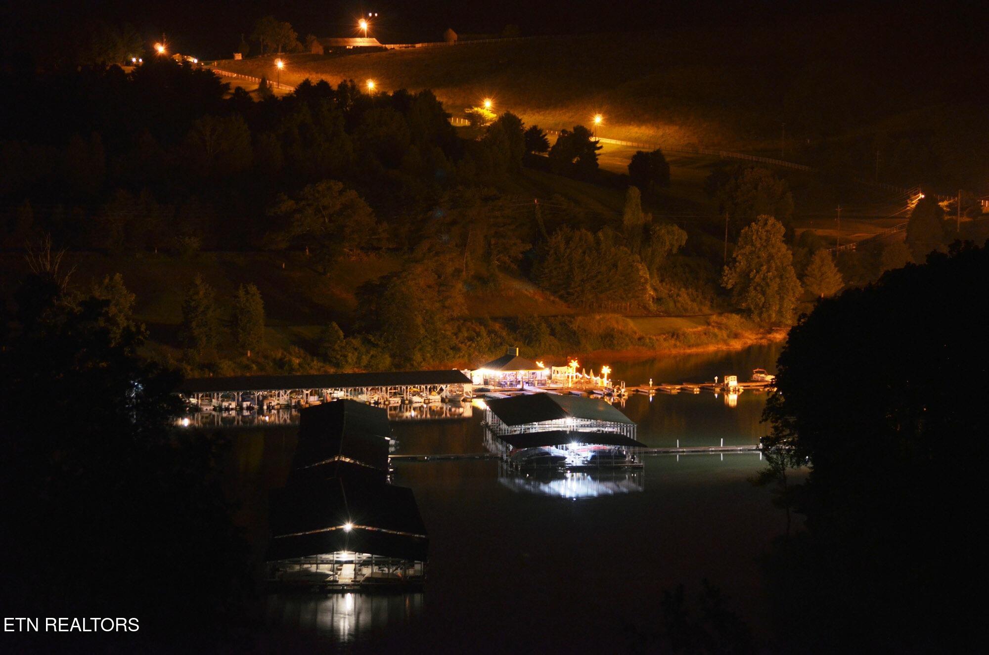 111 Deer Run Point La Follette, TN 37766 - Photo 47 of 48 Tiki Club