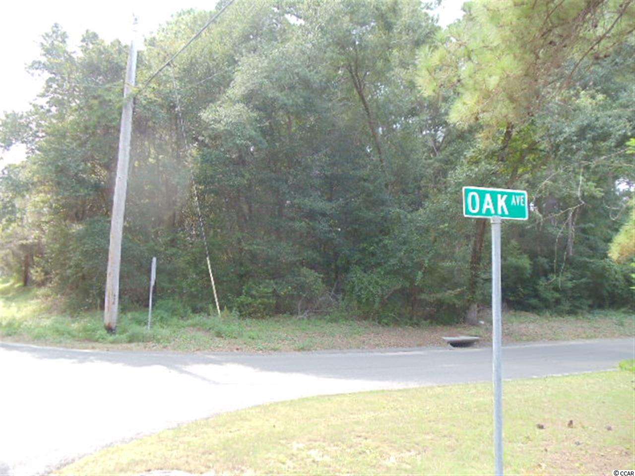 Pine Ave Garden Murrells Inlet, SC 29576 - Photo 3 of 3 Gallery Image 3