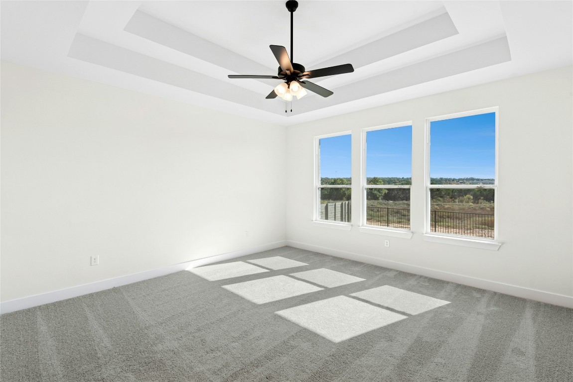 1533 Rodeo Ridge Drive Georgetown, TX 78628 - Photo 12 of 34 Unfurnished room with light carpet, a raised ceiling, and ceiling fan