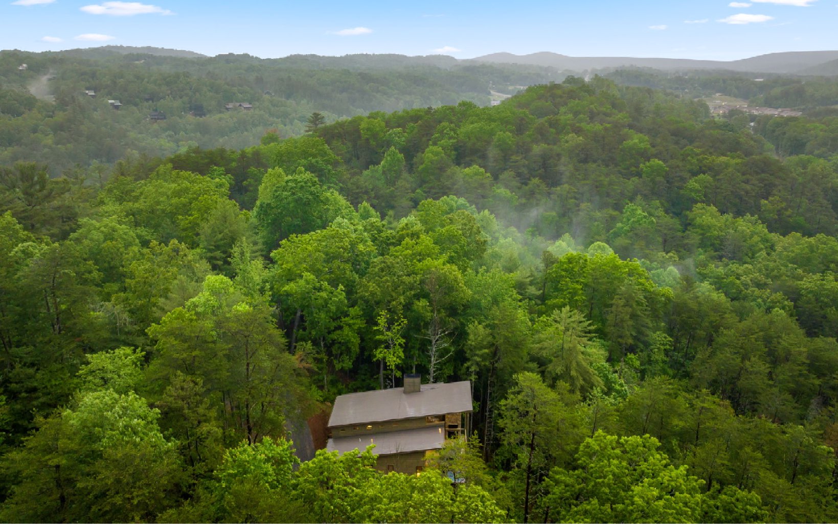 259 Mountain Laurel Lane Blue Ridge, GA 30513 - Photo 52 of 60 an aerial view of a house with yard and outdoor seating
