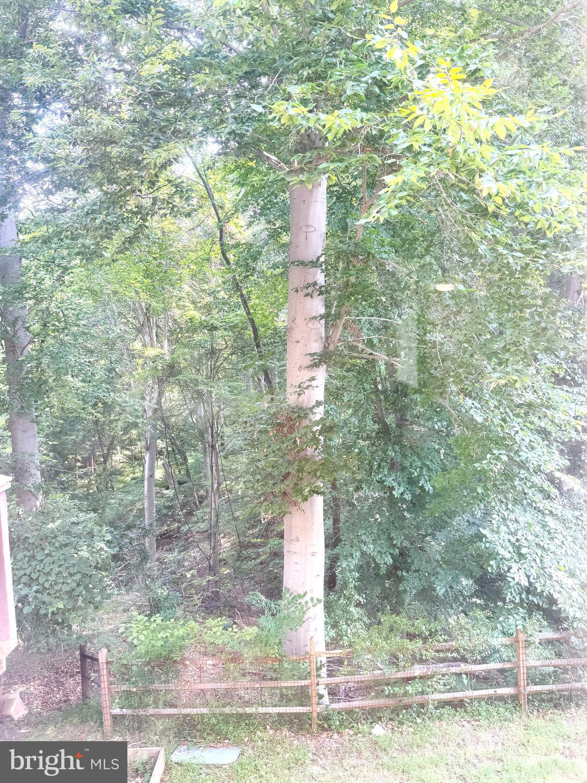 618 Evening Star Place Bowie, MD 20721 - Photo 59 of 59 a view of a yard with fountain